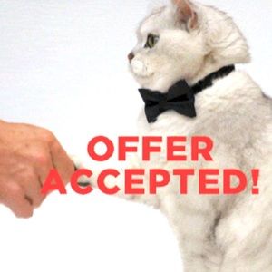 All offers entertained!